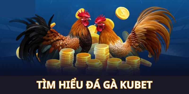 Tìm hiểu tổng quan về Đá Gà Kubet