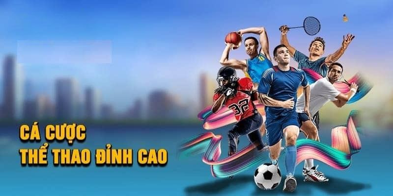 Bóng rổ là bộ môn được nhiều người lựa chọn khi tham gia tại SBOBET